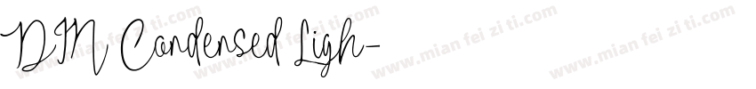DIN Condensed Ligh字体转换
